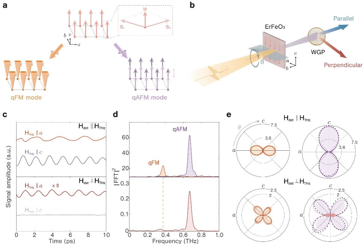 20240123-5.jpg 20240123-5.jpg